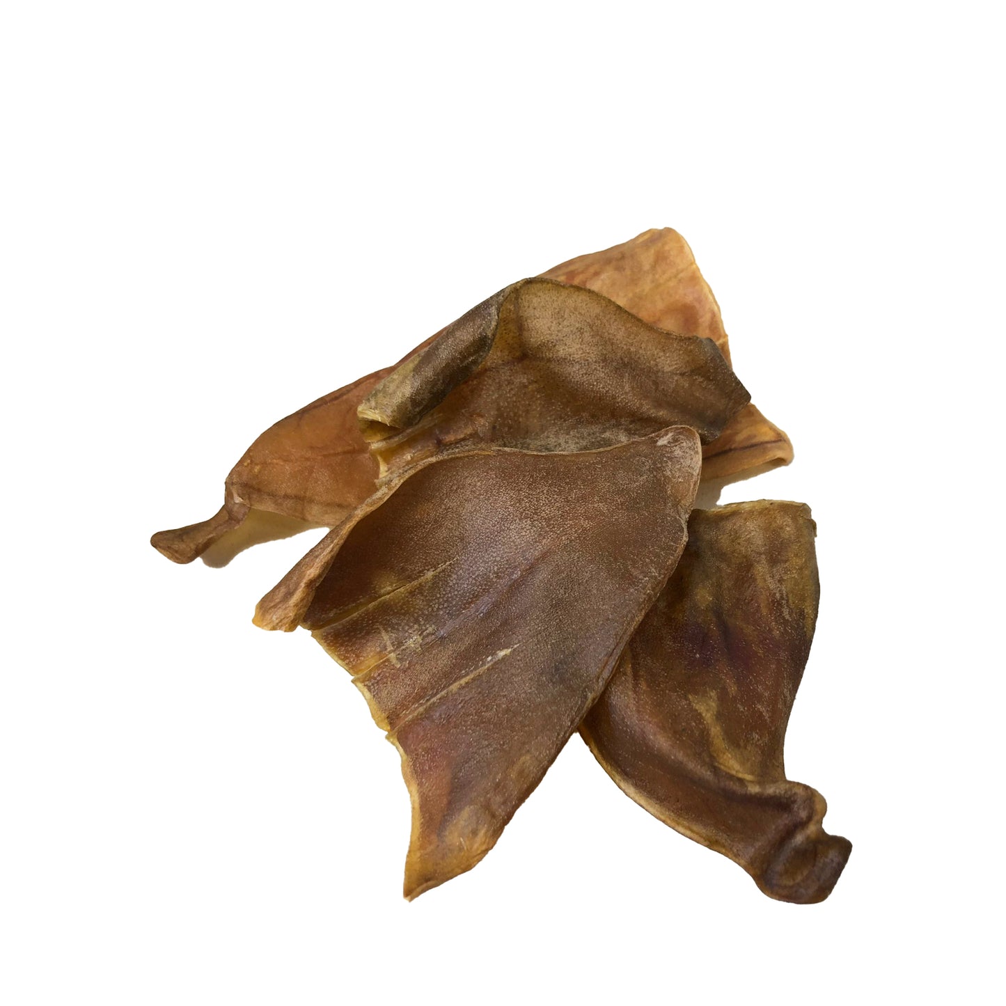 原隻馬耳 Horse Ears