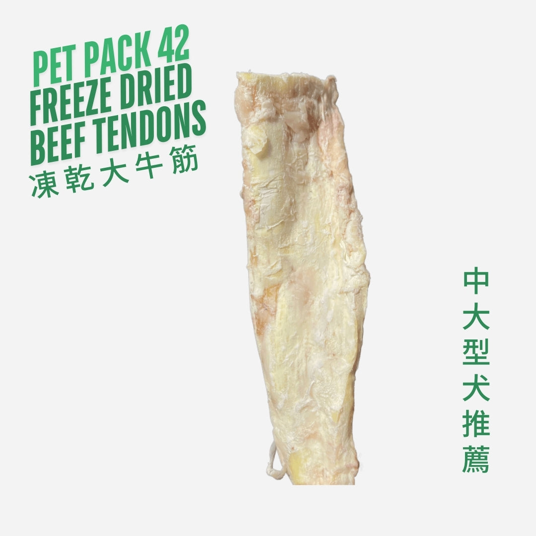 凍乾牛筋 Freeze Dried Beef Tendons